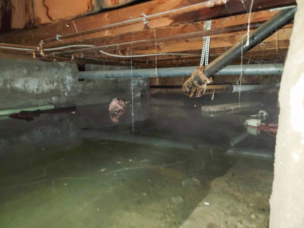Trusted Wheatland, WY Water damage restoration Experts