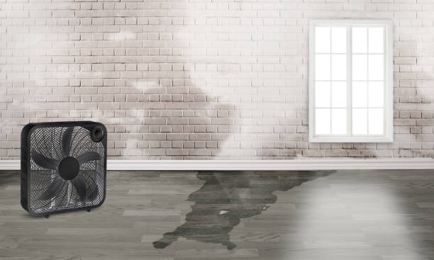 Best Flood restoration services  in Wheatland, WY