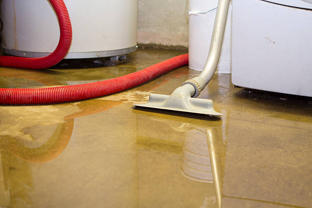 Best Ceiling water damage repair  in Wheatland, WY