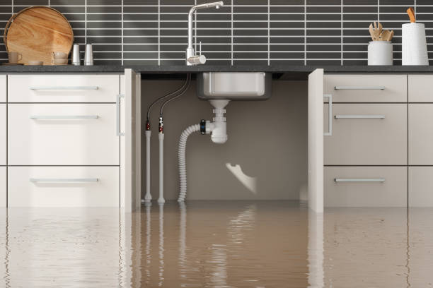 Best Flood damage cleanup  in Wheatland, WY