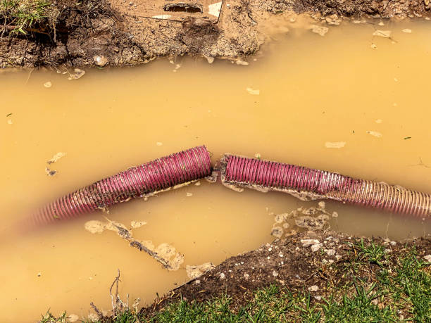 Carpet water damage restoration in Wheatland, WY