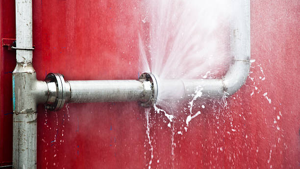 Best Carpet water damage restoration  in Wheatland, WY